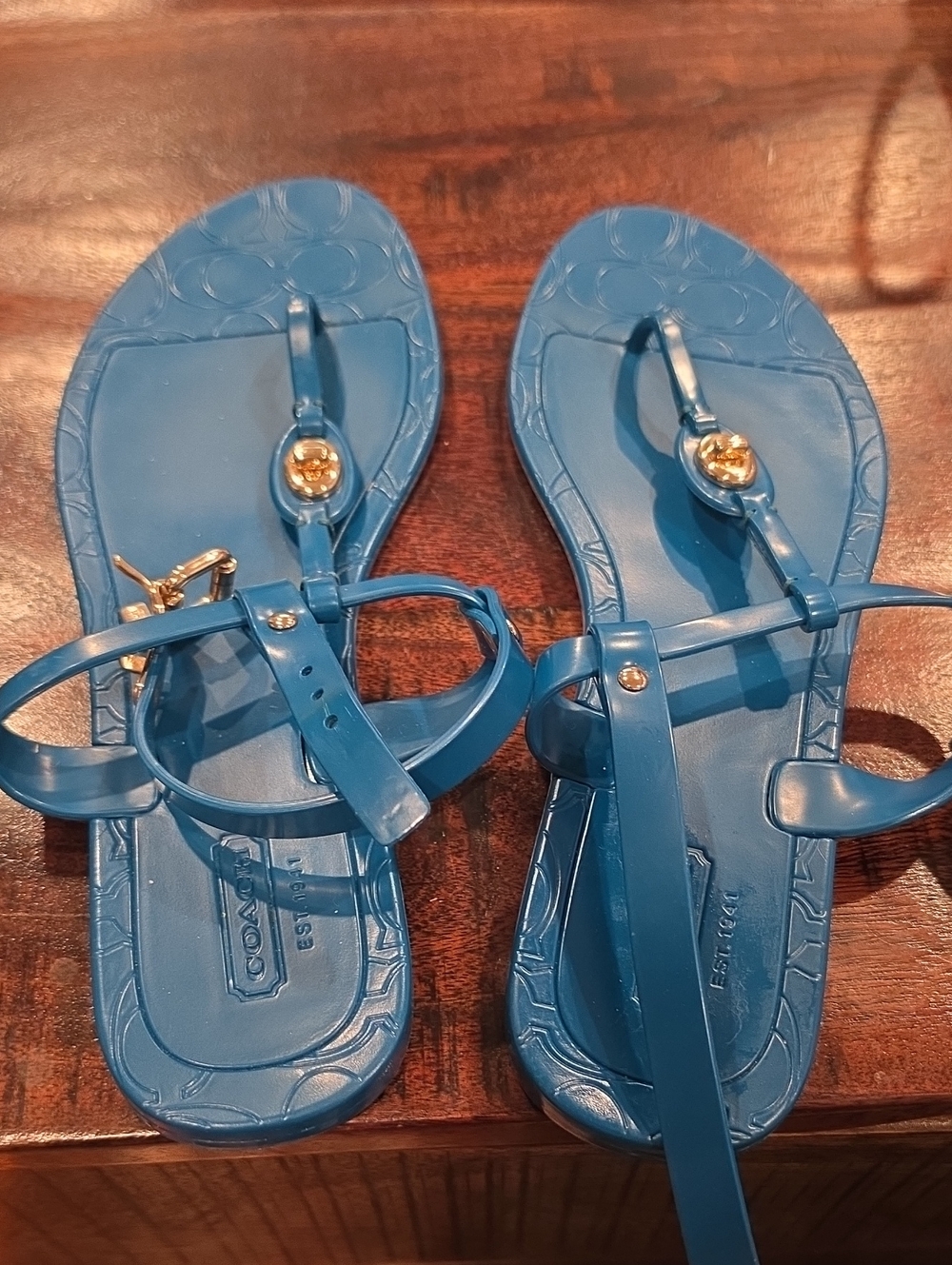 Coach Blue Jelly Thong Sandals with Gold Hardware